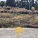 서광리-1 이미지