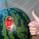 영원당구장 이미지