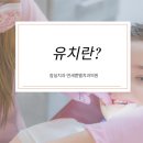 연세벧엘치과의원 이미지
