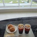 [제주 우도] 여름 제주 우도 당일치기 코스 추천 (+임산부)