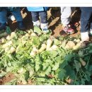 서율농장 이미지