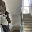 영양방역공사 네이버블로그