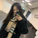 진솔솔루션 이미지