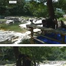 민들레 농장 | 거창민들레울 캠핑!!