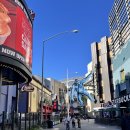 할리우드펫 | 🇺🇸신혼여행기: 유니버셜 스튜디오 할리우드