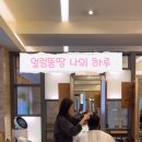 도영헤어살롱 네이버블로그