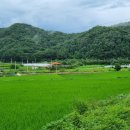 가천면사무소 앞 이미지