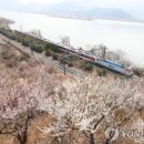 주연농원
