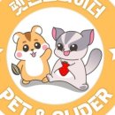 펫엔글라이더 천안점 이미지