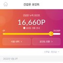 포인트제로 이미지