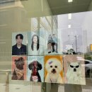 인천 루원시티 사진 이쁘게 잘 찍어주는 가로수 사진관 내돈내산 후기