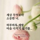 대봉정 이미지