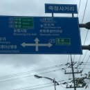 대천항 수산시장 사거리 이미지