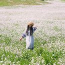 성읍리-20 이미지