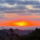 나리목장 이미지