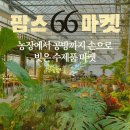 팜스마켓