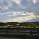 복하천 수변1공원 이미지