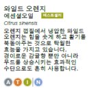 도테라) 오렌지 에센셜 오일 이미지