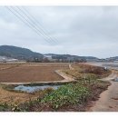 황토갯벌용산마을