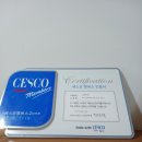 제주독채펜션돌담감성숙소밭담점 이미지