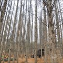 한화목장 이미지