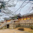 2024 아이랑 가고싶은 경주한달살기 지원사업 모집