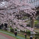 온천천변길 이미지