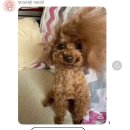 돈소금 - 56701 | 돈소금