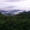 진이네농장 이미지