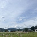 홍북읍 홍천마을회관 | 업타운 컨츄리타운 홍천 촌캉스 갔다온 후기 🧑‍🌾👩‍🌾