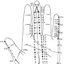 수지의학의 14기맥론 이미지