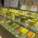 도안대로(유성-89) 이미지