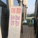 리틀미코노스1 이미지