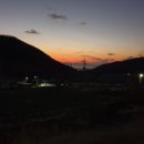 섬들에 산약초