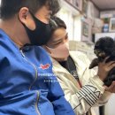 벨라켄넬 이미지