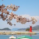 소포마을도로 이미지
