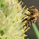 꿀공인중개사사무소 이미지