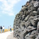 제주와요 이미지