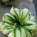 남쪽창고농수산물협동조합 이미지