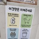 디엔(DN)카페 | 신나게 놀 공간과 에어바운서가 있는 DN카페