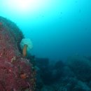 (주)이포인트 이미지