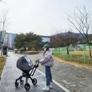 더오르빗학원 | [육아용품] 오르빗 G5 디럭스 유아차 만족의 후기
