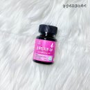 피엔씨코리아