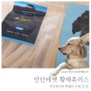 안단테펫