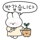 식물카페아단소니 이미지