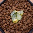 만상농장 이미지