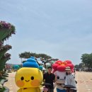 아이꽃 - 용인시 기흥구 흥덕중앙로 55 | 🌸 태안 꽃박람회, 아이 둘과 다녀온 봄날 나들이 후기 🌸