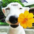 서화농장 이미지