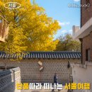 예술마당 | 단풍따라 떠나는 서울 여행, 서울숲 은행나무숲, 정동전망대, 서촌