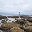 비빔사계 이미지